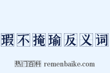 瑕不掩瑜反义词是什么意思的图片